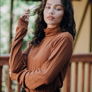 NWOT Ivy + Main Rust Ribbed Crop Turtleneck Tillys